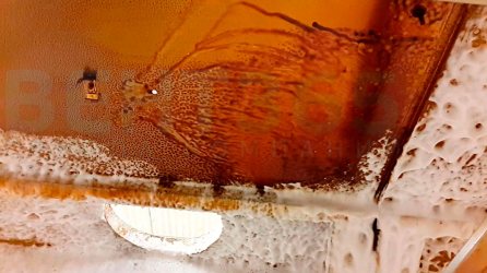 ������ ������� ���������� ����