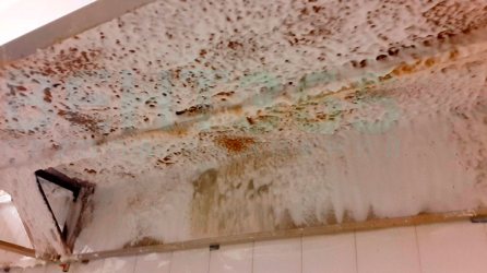 ������ ������� ���������� ����